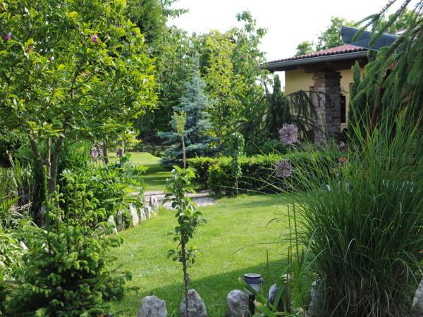 Venkovní pohled | Penzion B&B Villa Filippa